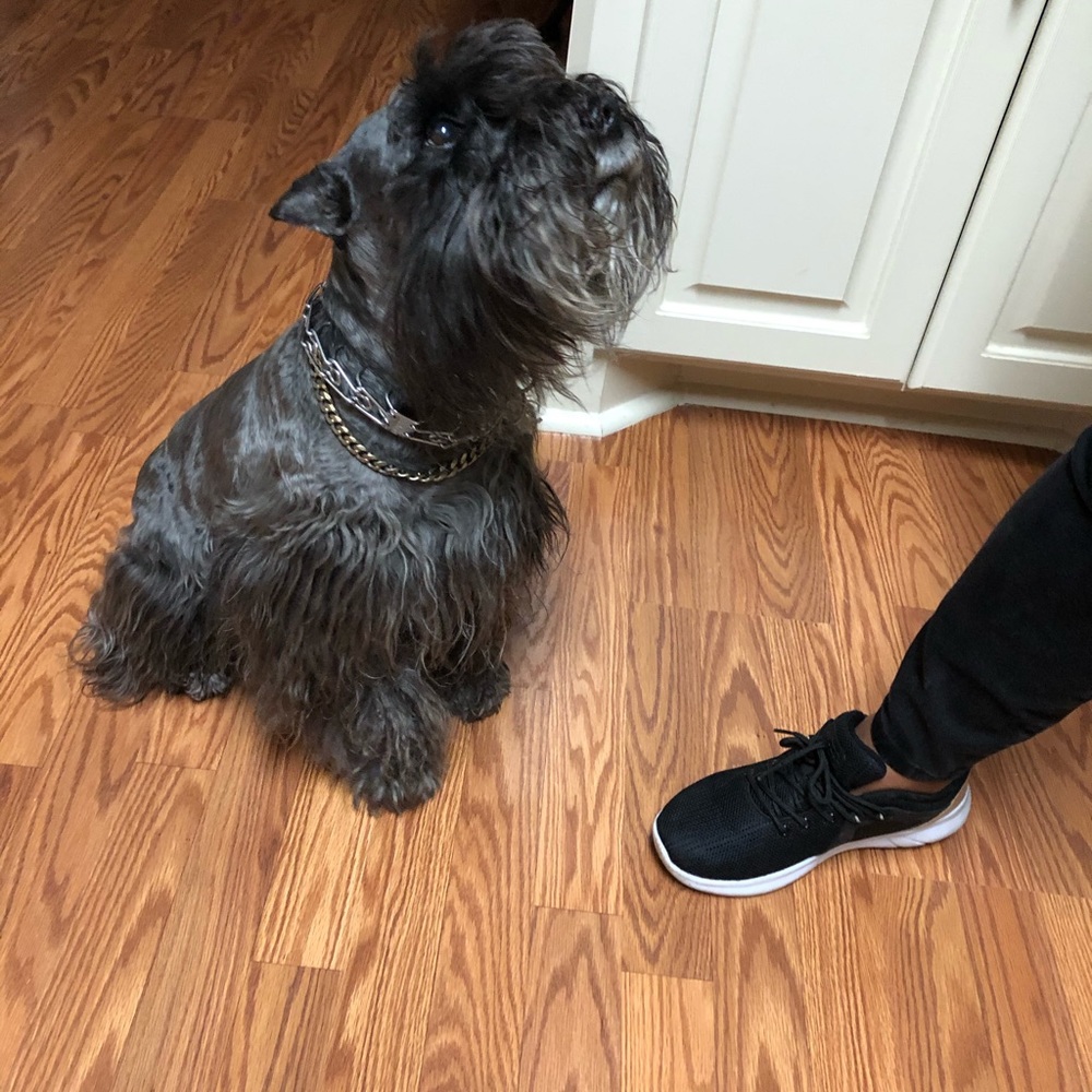 Meet your Posher, Lashara